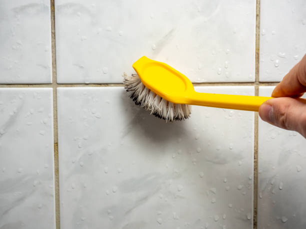 Best Toxic Mold Removal  in Hrisburg, AR