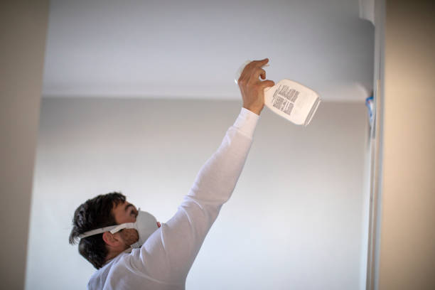 Best Commercial Mold Removal  in Hrisburg, AR