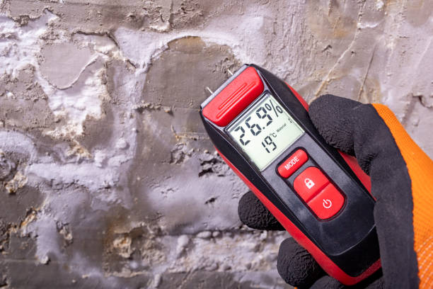 Home Mold Removal in Harrisburg, AR